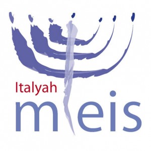 MEIS logo